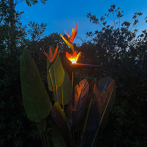 Projecteur oiseau du paradis pour l'éclairage de jardin printemps