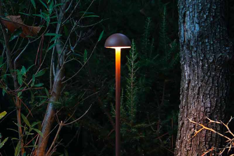 Projecteur chanterelle en forme de champignon lumineux