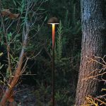 Version plus petite et plus diffuse que Chanterella et Chanterelle top, découvrez la Chanterelle mini.