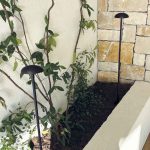 Version plus ronde de la Chanterella, découvrez la Chanterelle Top.