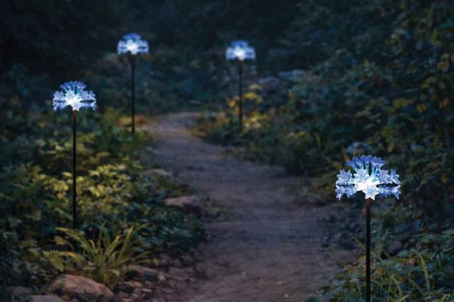 Quatre projecteurs floraux Agapanthe installés aux abords d'une allée de jardin.