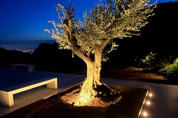 Éclairage directionnel nos projecteurs sur lyre.